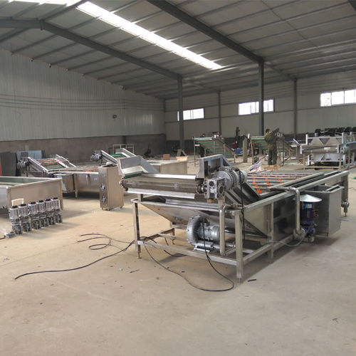 西红柿净菜深加工清洗设备定制价格合理 多图