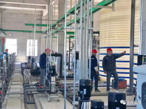 假日无休,他们坚守岗位攻坚环保