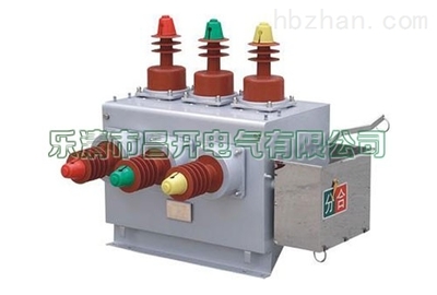 ZW10-12/T630-20户外高压真空断路器 电力环保设备的可靠守护者